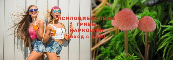 гидропоника Надым