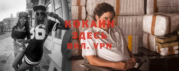 прущие грибы Чита