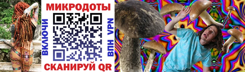 Псилоцибиновые грибы MAGIC MUSHROOMS Приволжский